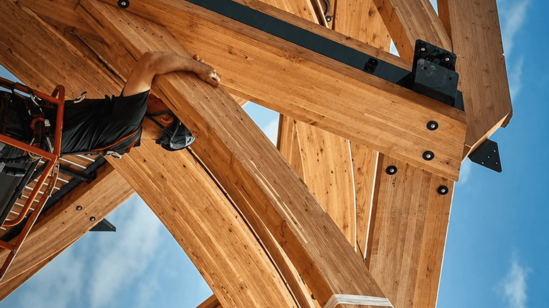 Nos essences de bois utilisées