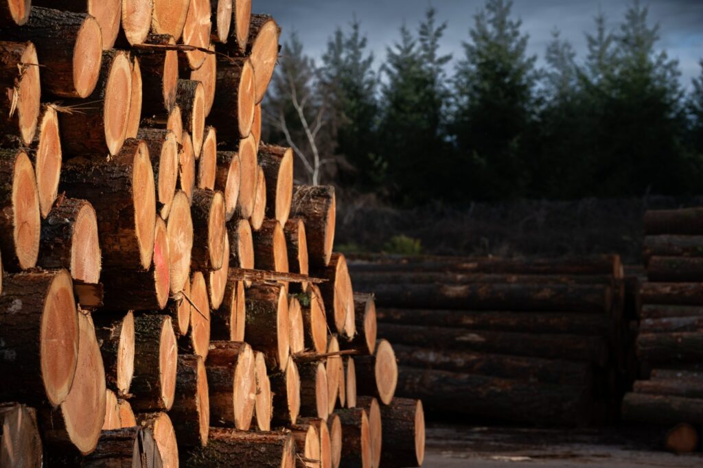 Bois français – engagement environnemental Cosylva à Langladure
